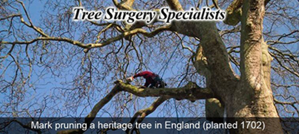 All Acres Professional Tree Service
