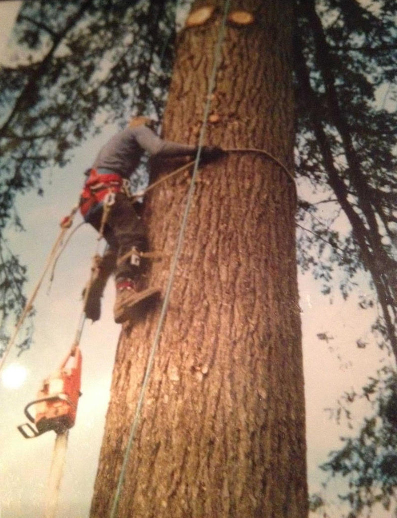 All Acres Professional Tree Service