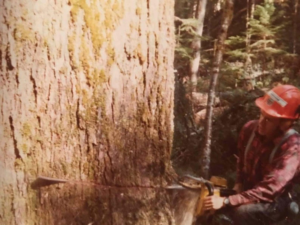 all-acres-professional-tree-services-photo-03 (1)